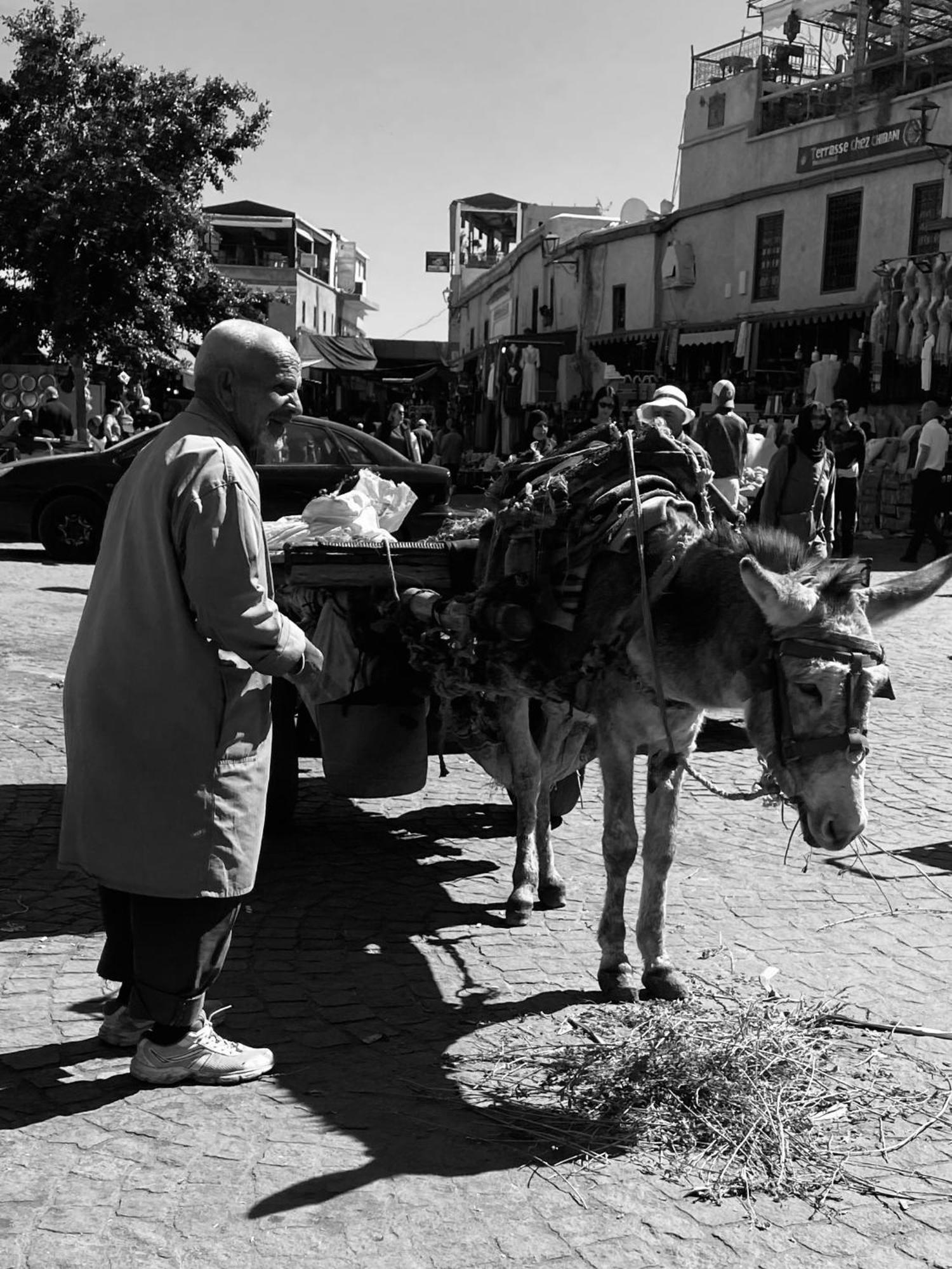 Riad Alamine Marrakesh Exterior foto