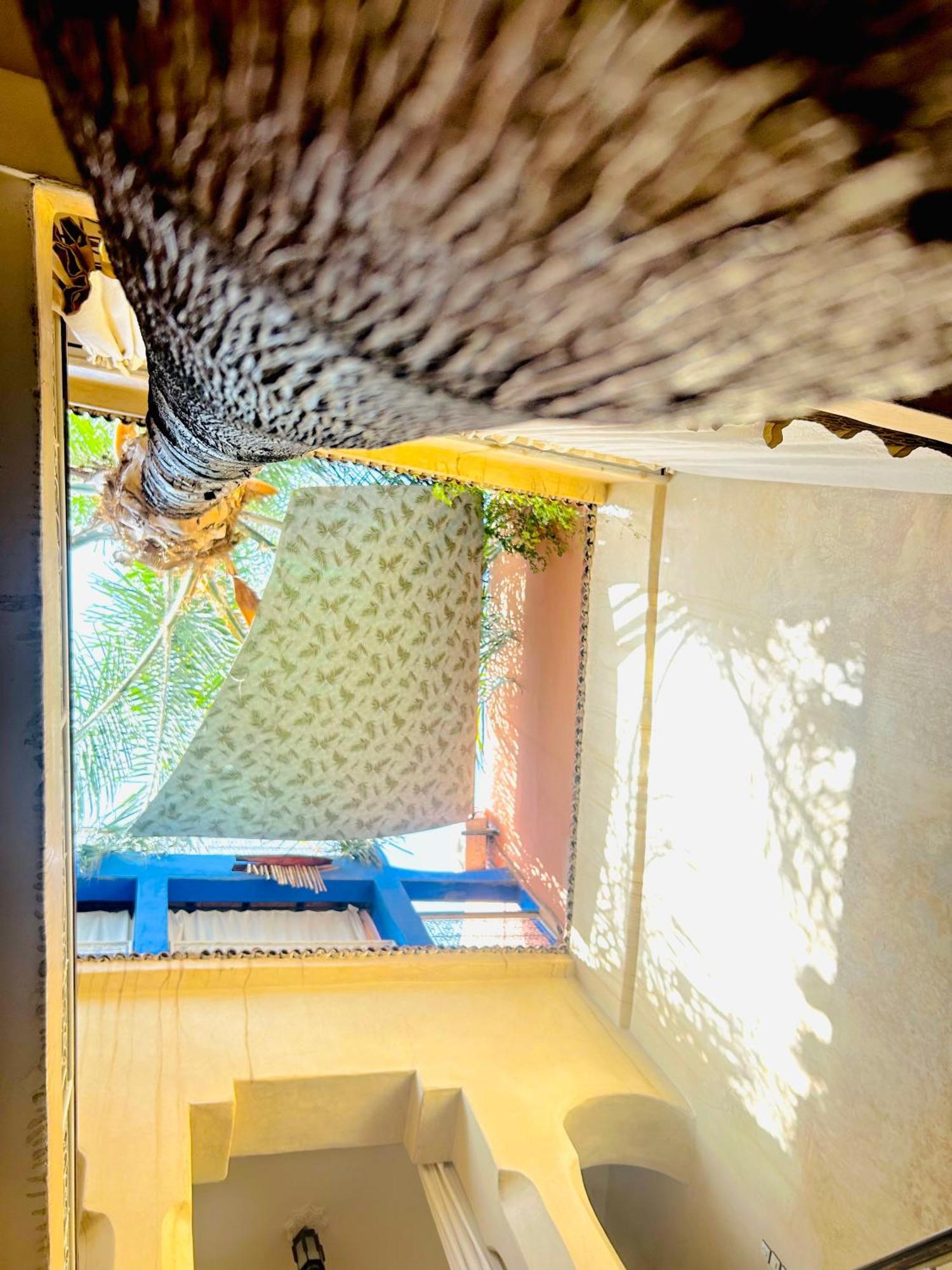 Riad Alamine Marrakesh Exterior foto